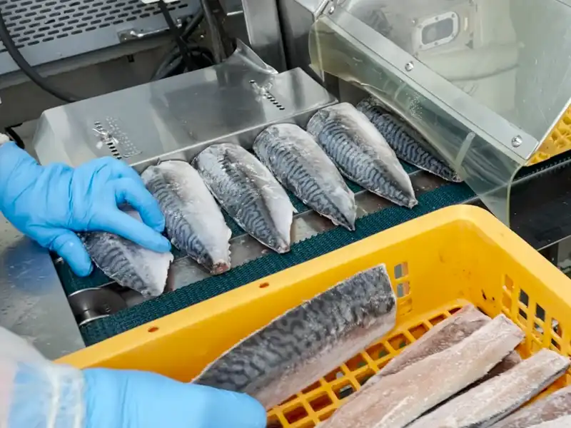 HA / Place the fillets and cut them into slices!