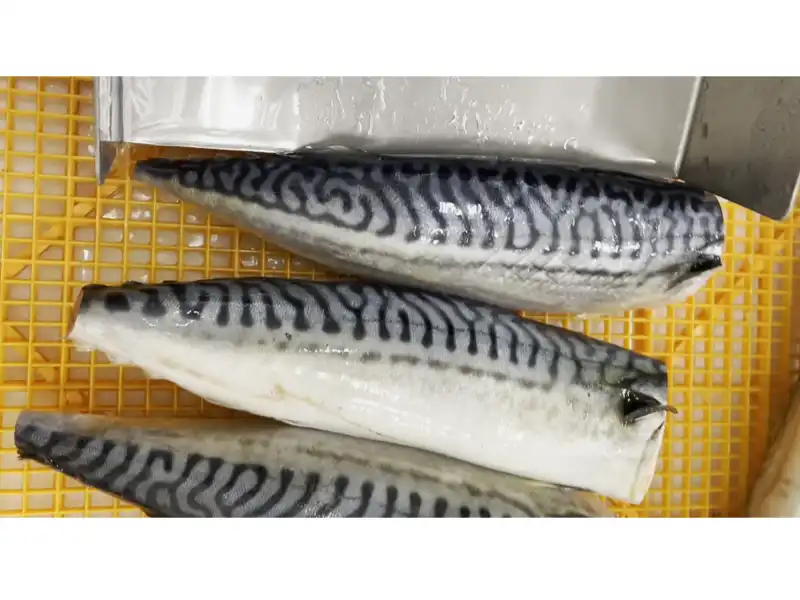 HB / サバの頭と尻尾をカット！