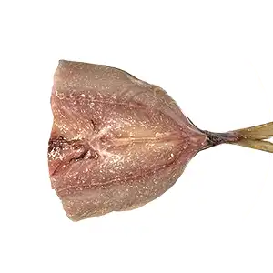 S-AZ / 魚加工後