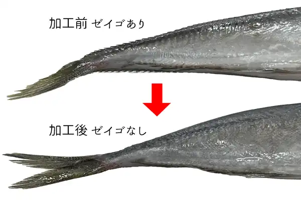 加工前・加工後の比較